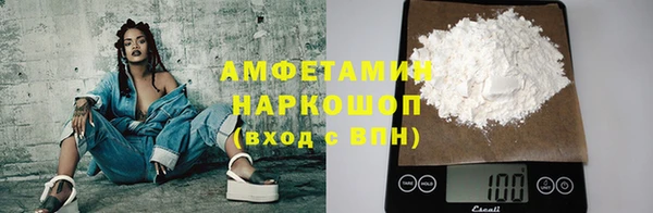 индика Дмитровск