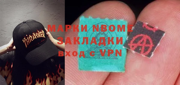 индика Дмитровск