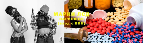 индика Дмитровск
