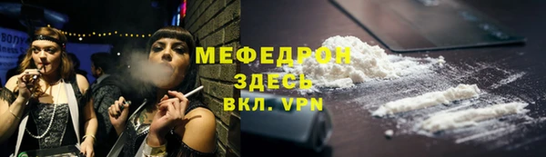 индика Дмитровск