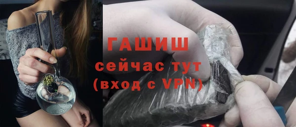 индика Дмитровск