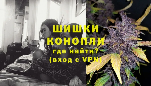 соль ск Дмитров