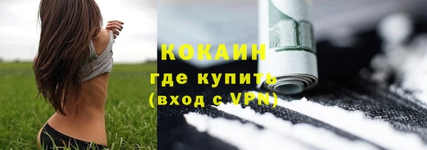 соль ск Дмитров