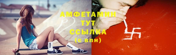 соль ск Дмитров
