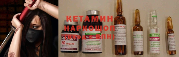индика Дмитровск