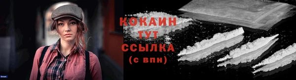 индика Дмитровск