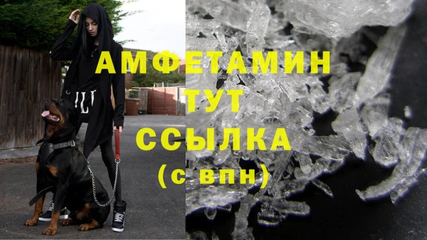 индика Дмитровск