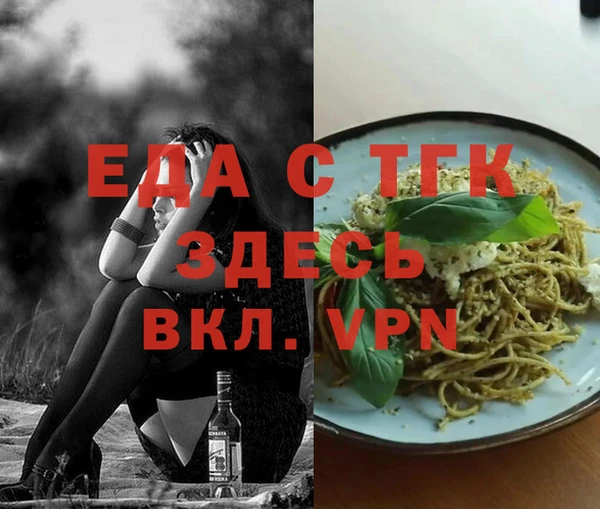 индика Дмитровск