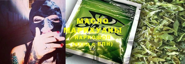 индика Дмитровск