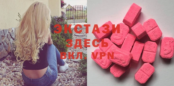 индика Дмитровск