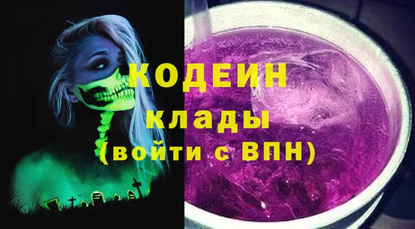 соль ск Дмитров
