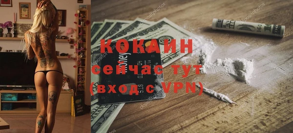 не бодяженный Дмитриев