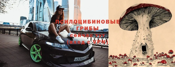 соль ск Дмитров