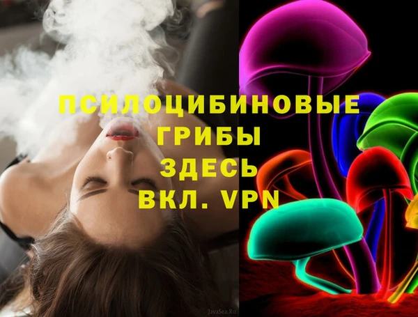 не бодяженный Дмитриев