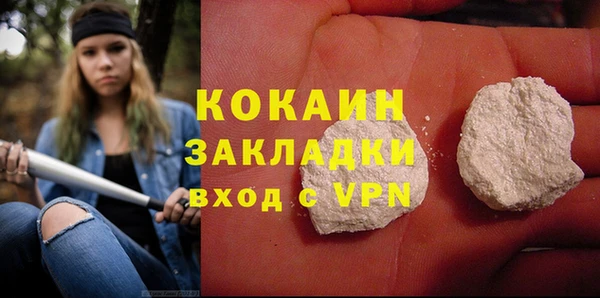 индика Дмитровск