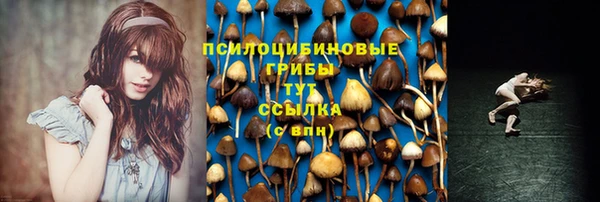не бодяженный Дмитриев