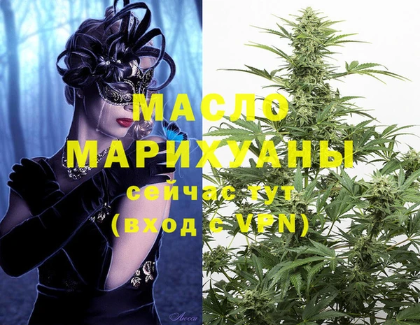 индика Дмитровск