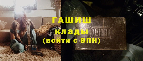 индика Дмитровск