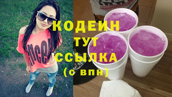 индика Дмитровск